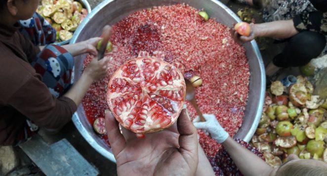 Belen Derebahçe’de Nar Ekşisi Mesaisi: Bir Nardan Bin Bereket!