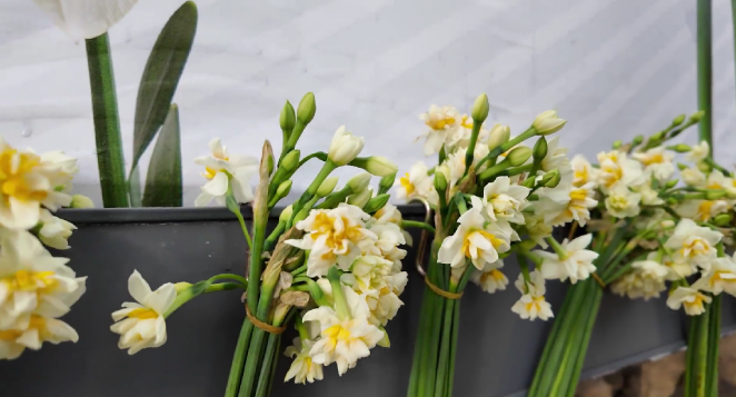 BAŞKAN ÖNTÜRK’TEN HATAY HALKINA ANLAMLI TEŞEKKÜR