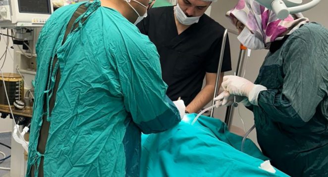 İskenderun Ağız ve diş sağlığı hastanesi Başhekimliği