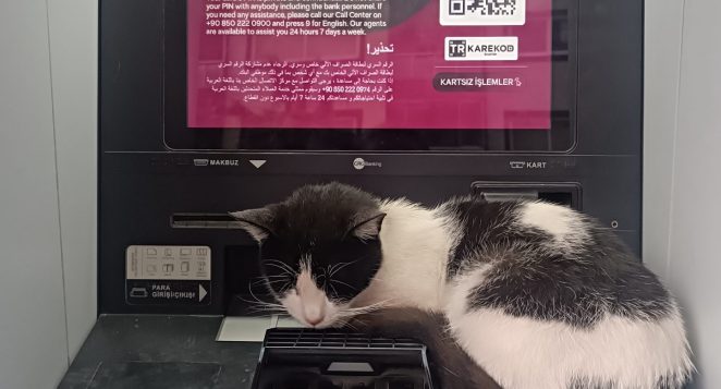 PARANIN ÜSTÜNDE UYUYAN BİR GERÇEK…