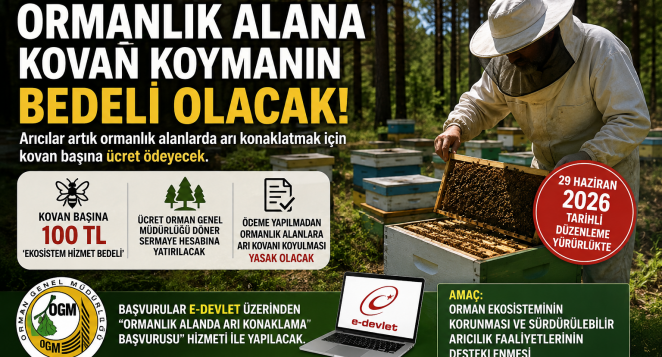 Arıcılara Ormanlık Alanlarda Konaklama Ücreti Dönemi: Kovan Başına 100 TL Alınacak