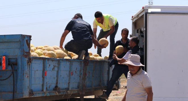 HBB’den Sosyal Dayanışma Hamlesi: 100 Ton Kavun Ücretsiz Dağıtılıyor