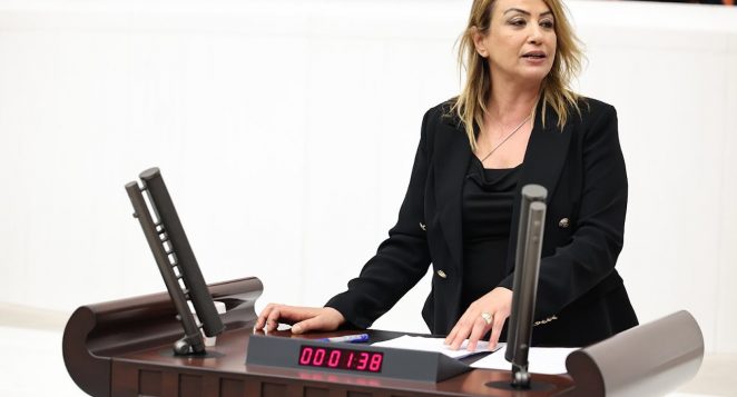 Milletvekili Nermin Yıldırım Kara narenciye ve zeytin sorununu TBMM’ye taşıdı